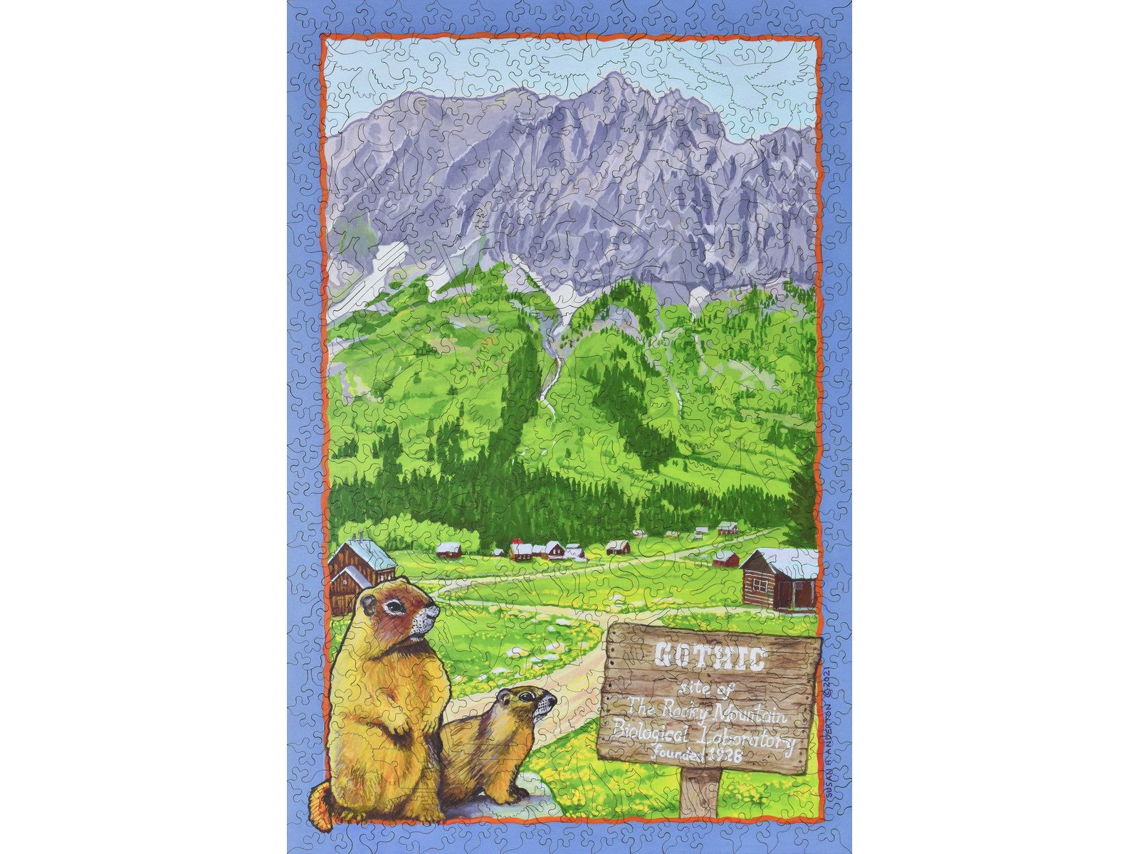 The front of the puzzle, Gothic, Colorado showing a marmot in the mountains.