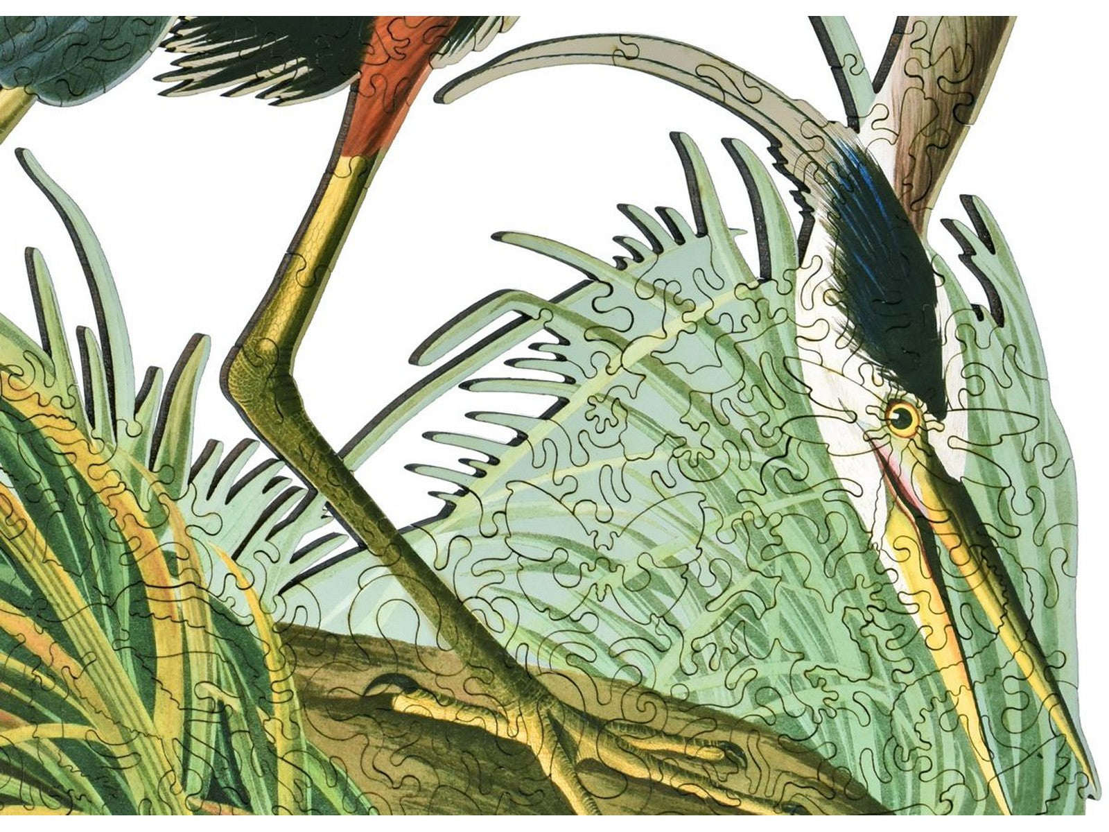 A closeup of the front of the puzzle, Great Blue Heron.