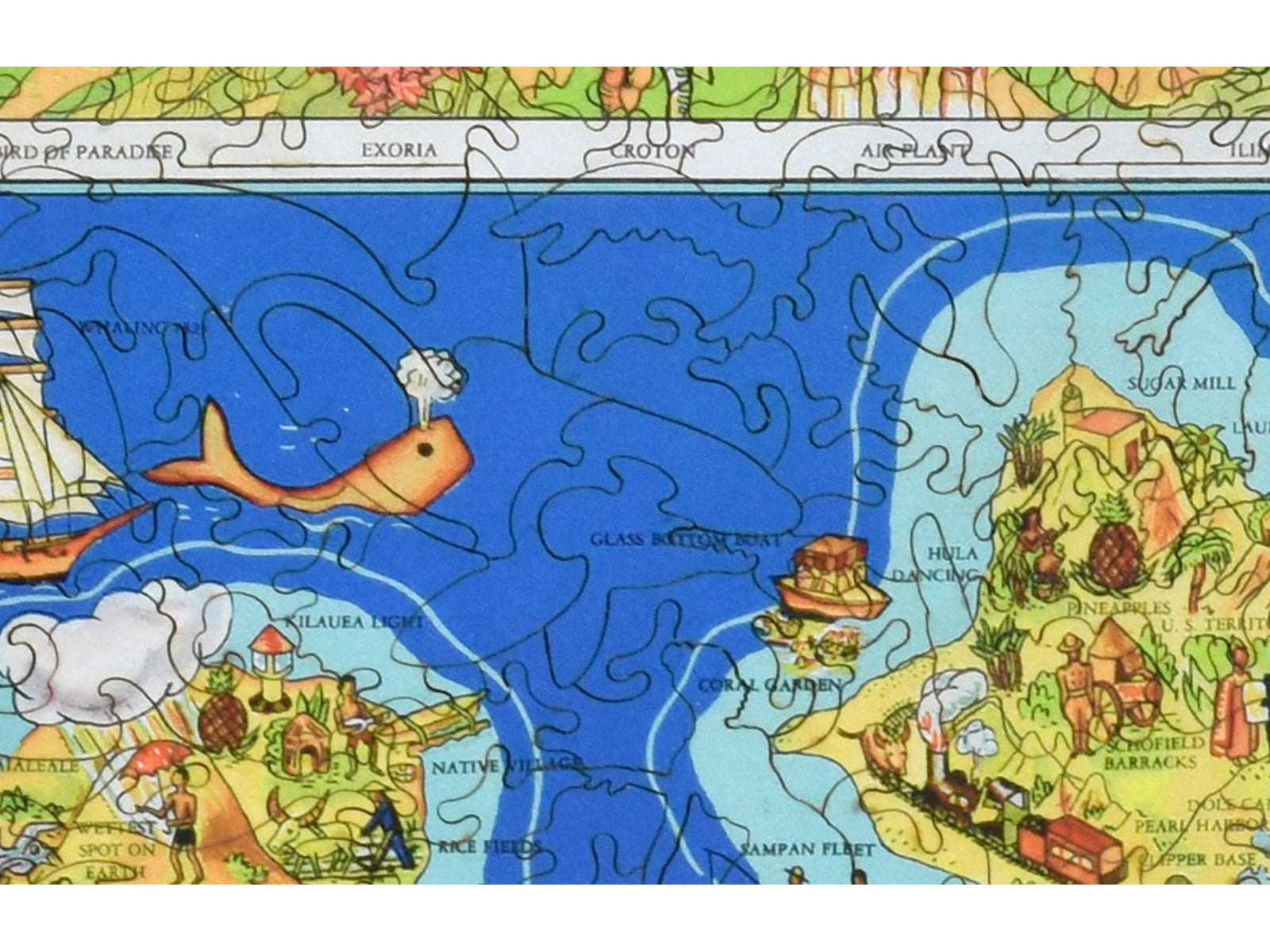 A closeup of the front of the puzzle, Hawaiian Islands, showing the detail in the pieces.