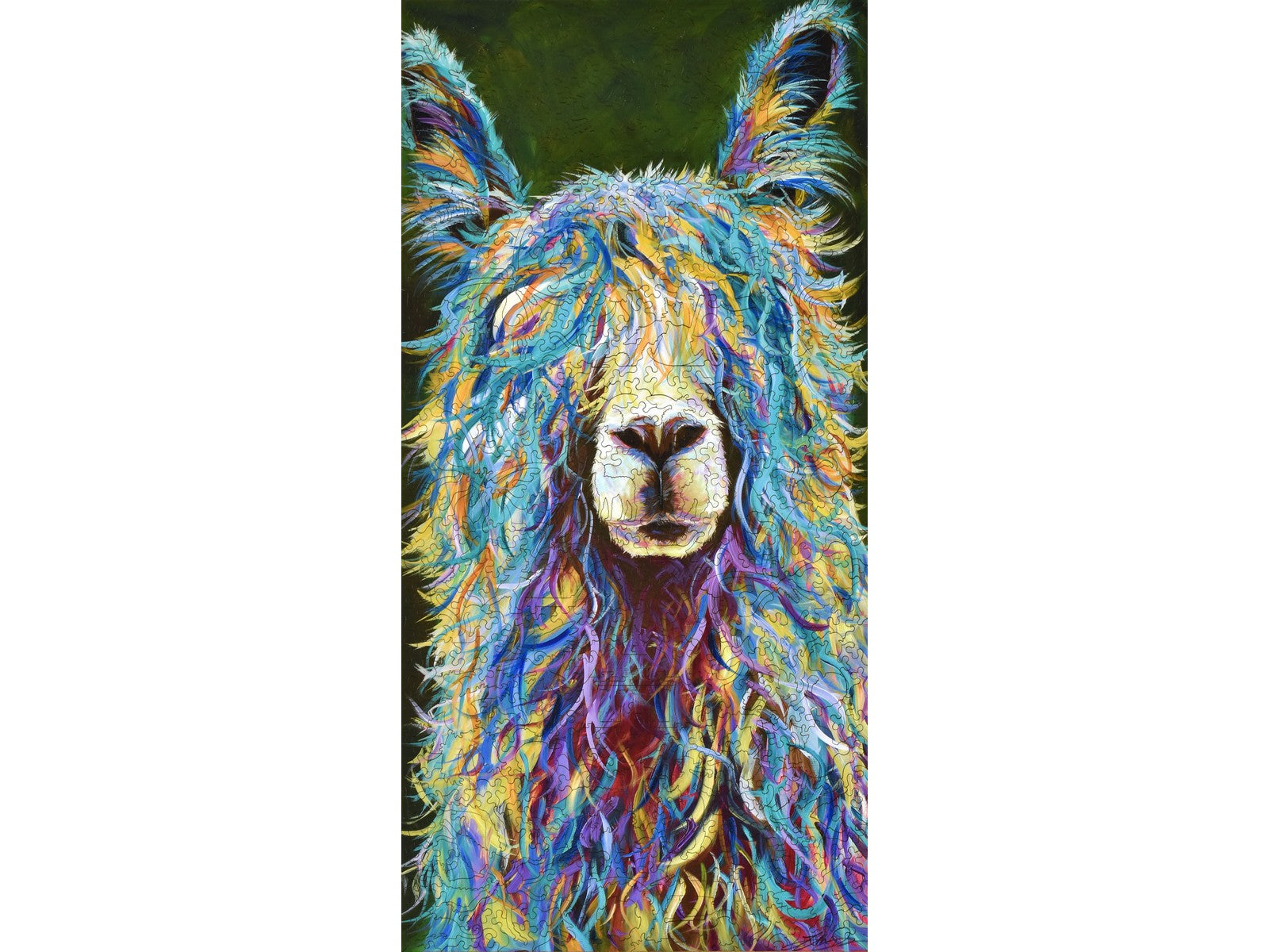The front of the puzzle, Hello Dolly, with a colorful llama.