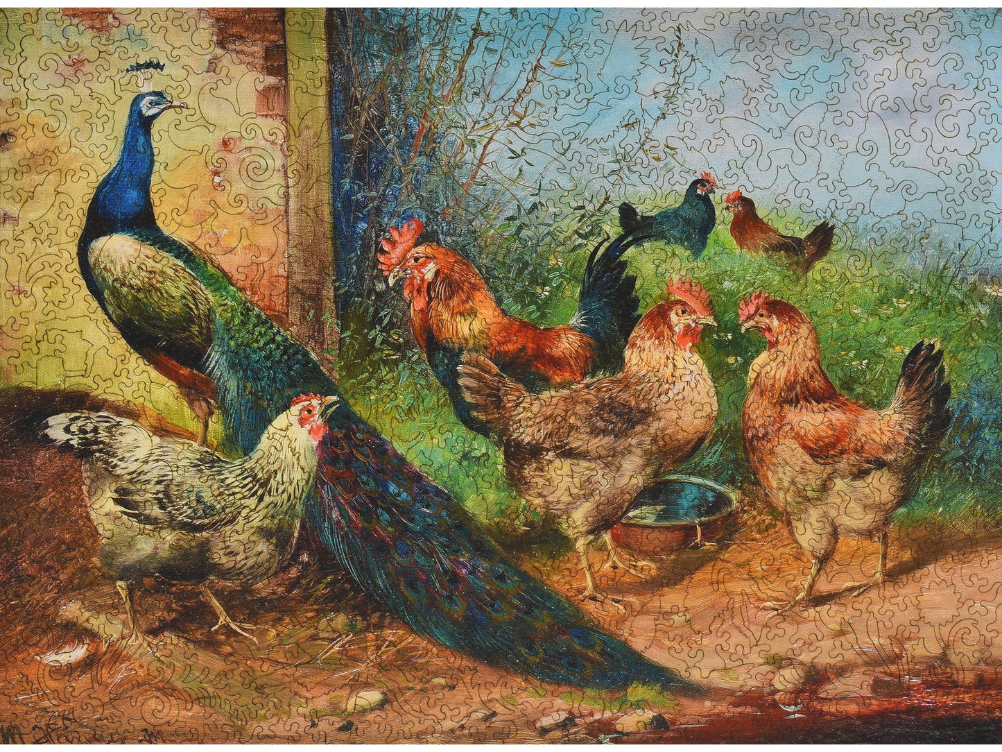The front of the puzzle, Hens and Peacock.