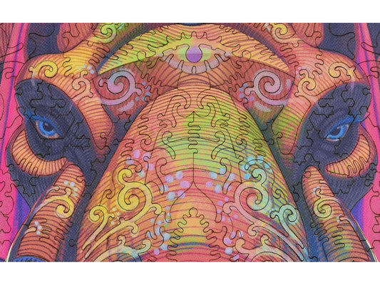A closeup of the front of the puzzle, Holi Raja, showing the detail in the pieces.