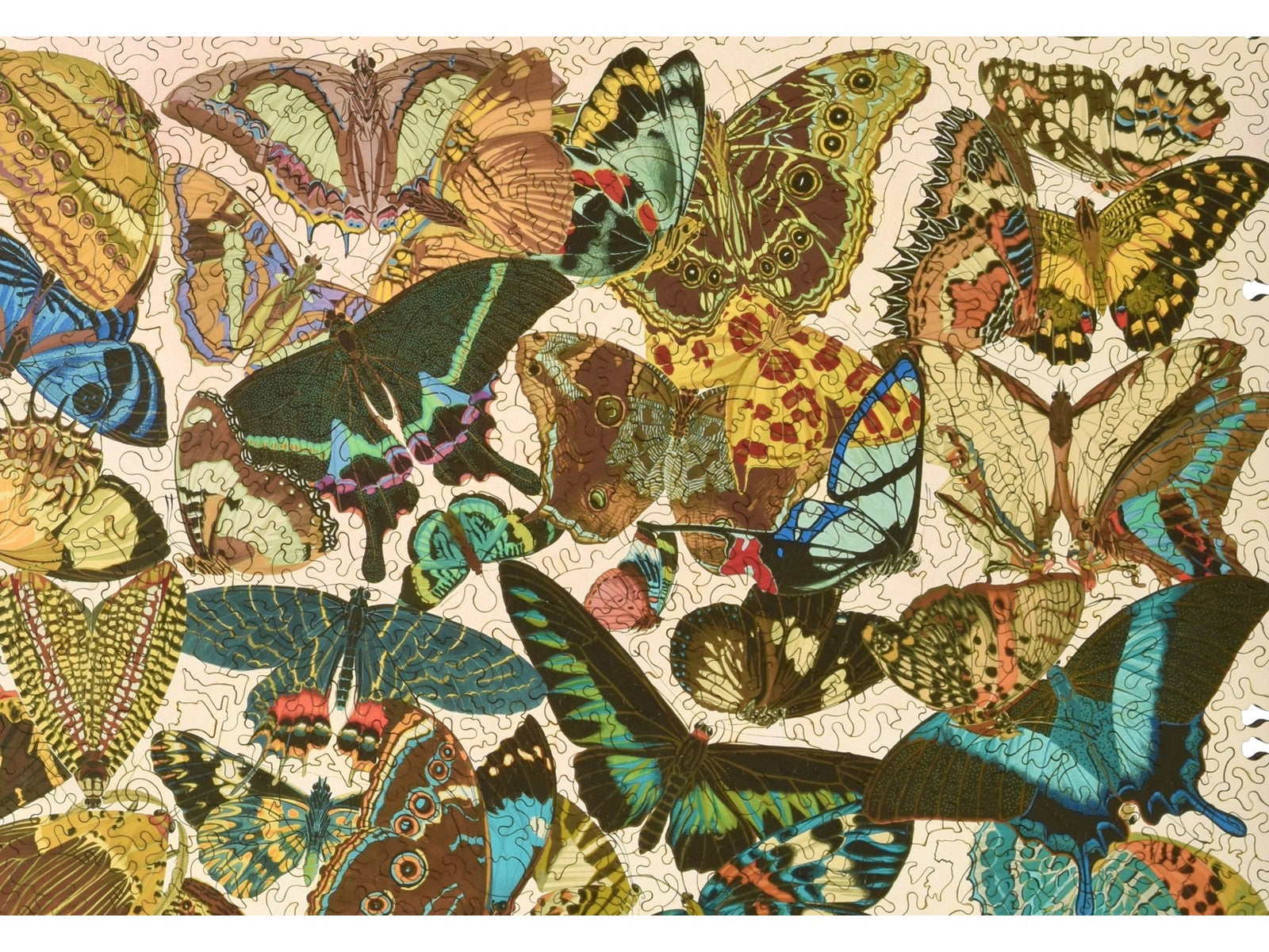 A closeup of the front of the puzzle, Kaleidoscope, showing the detail in the pieces.