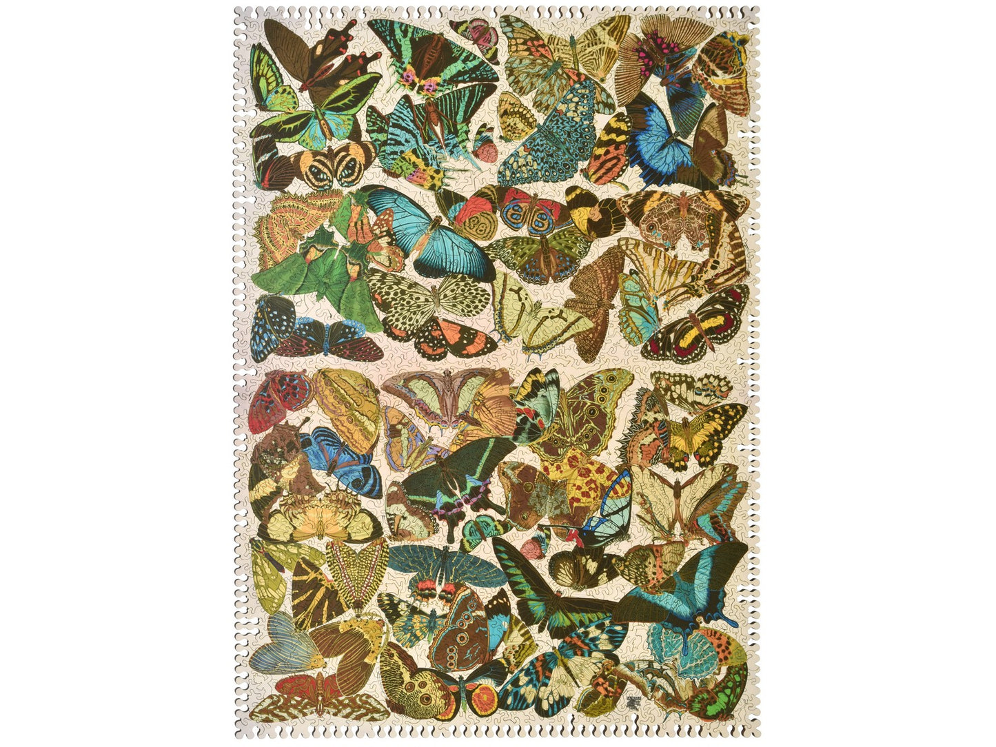 The front of the puzzle, Kaleidoscope.