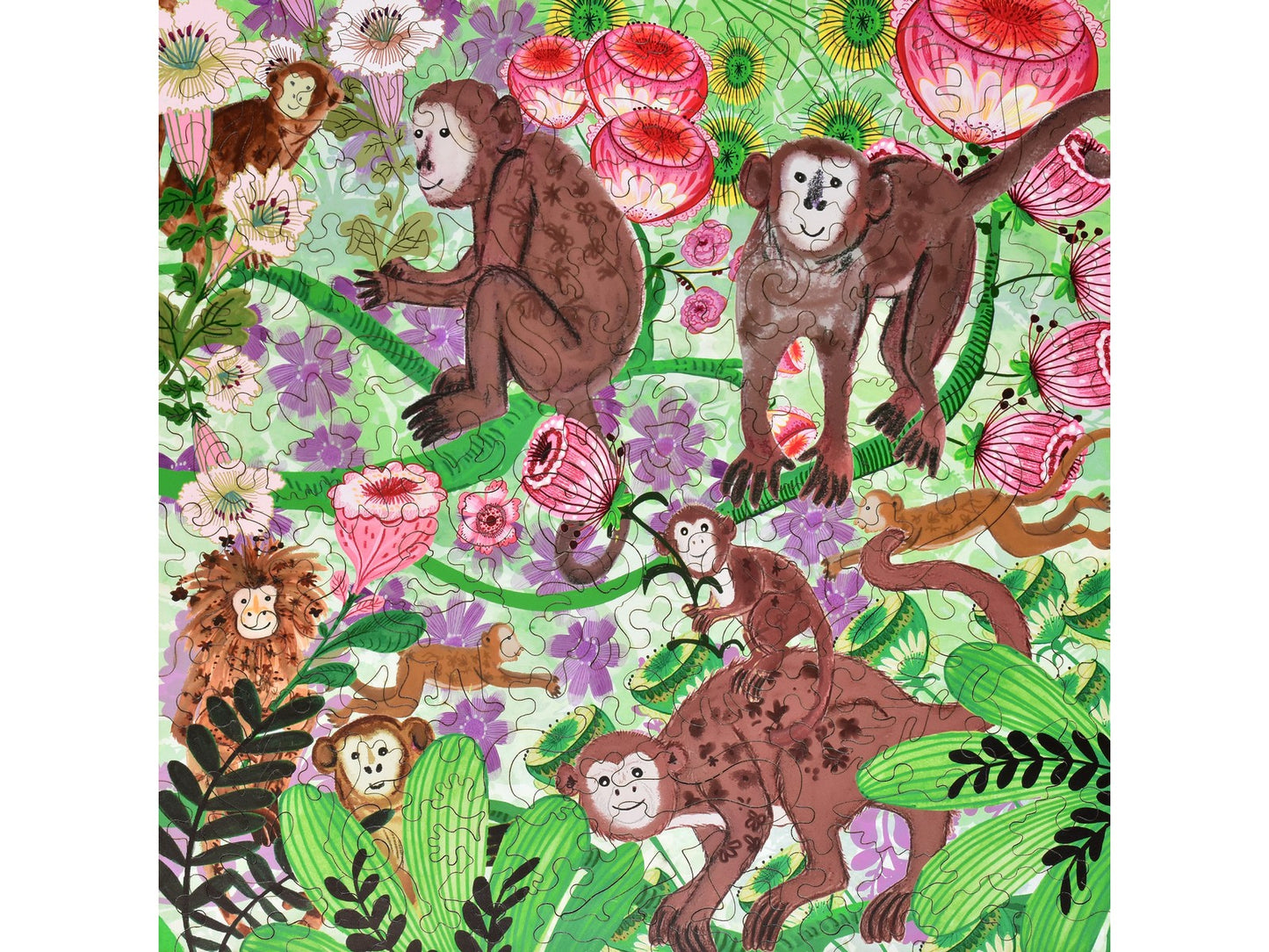 The front of the puzzle, Monkeys.