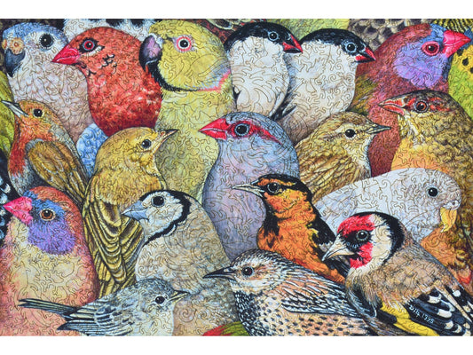 The front of the puzzle, Patchwork Birds.