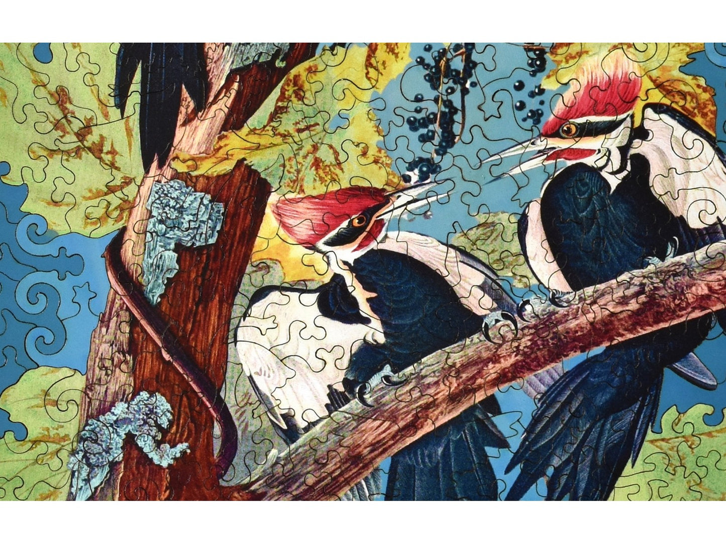 A closeup of the front of the puzzle, Pileated Woodpecker, showing the detail in the pieces.