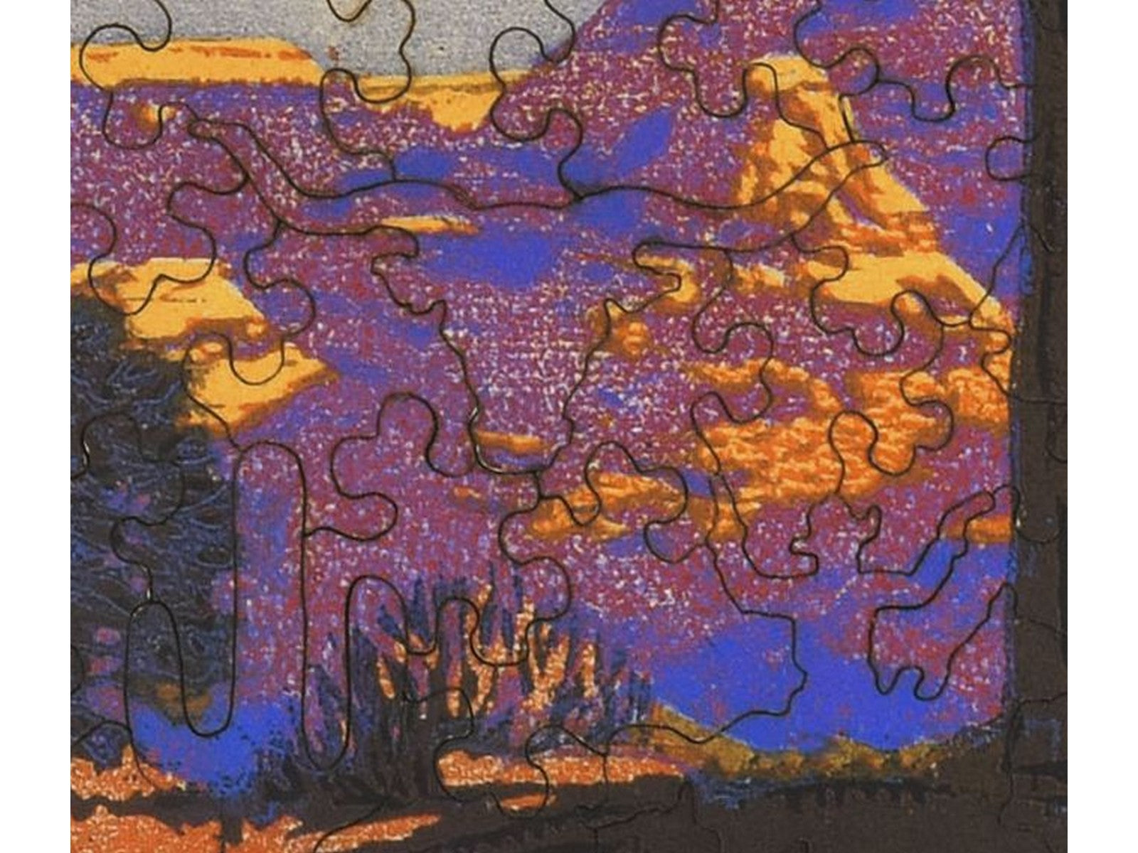 A closeup of the front of the puzzle, Pines - Grand Canyon.