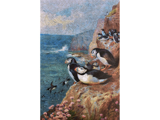 The front of the puzzle, Puffins and Razorbills, depicting birds on a cliff.