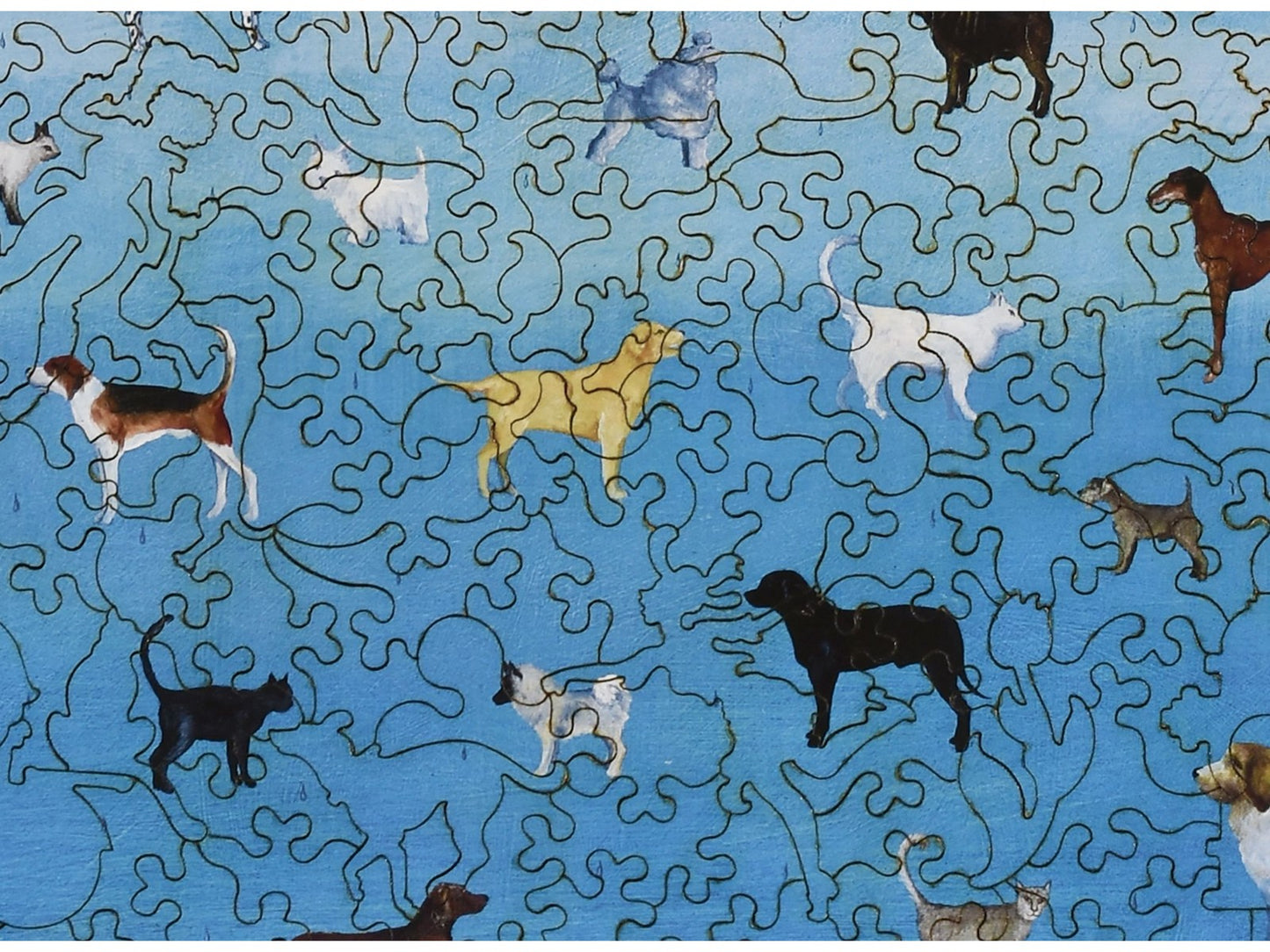 A closeup of the front of the puzzle, It's Raining Cats and Dogs, showing the detail in the pieces.