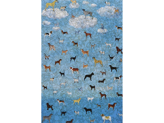 The front of the puzzle, It's Raining Cats and Dogs.