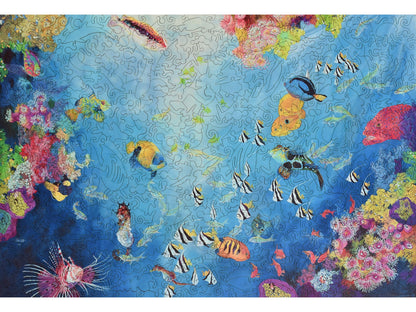 The front of the puzzle Underwater World II, showing different species of fish underwater.
