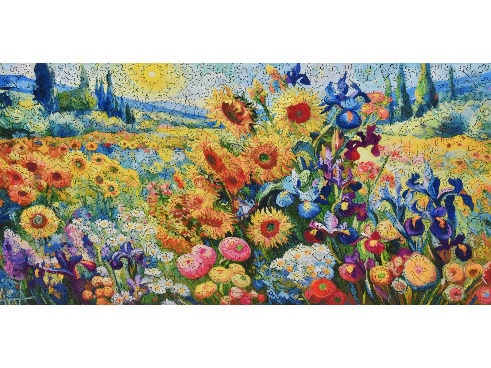  VAN    VINCENT その他  (Framed 1888 Arles), of (Ladies Etten at Garden the of Memory GOGH  その他