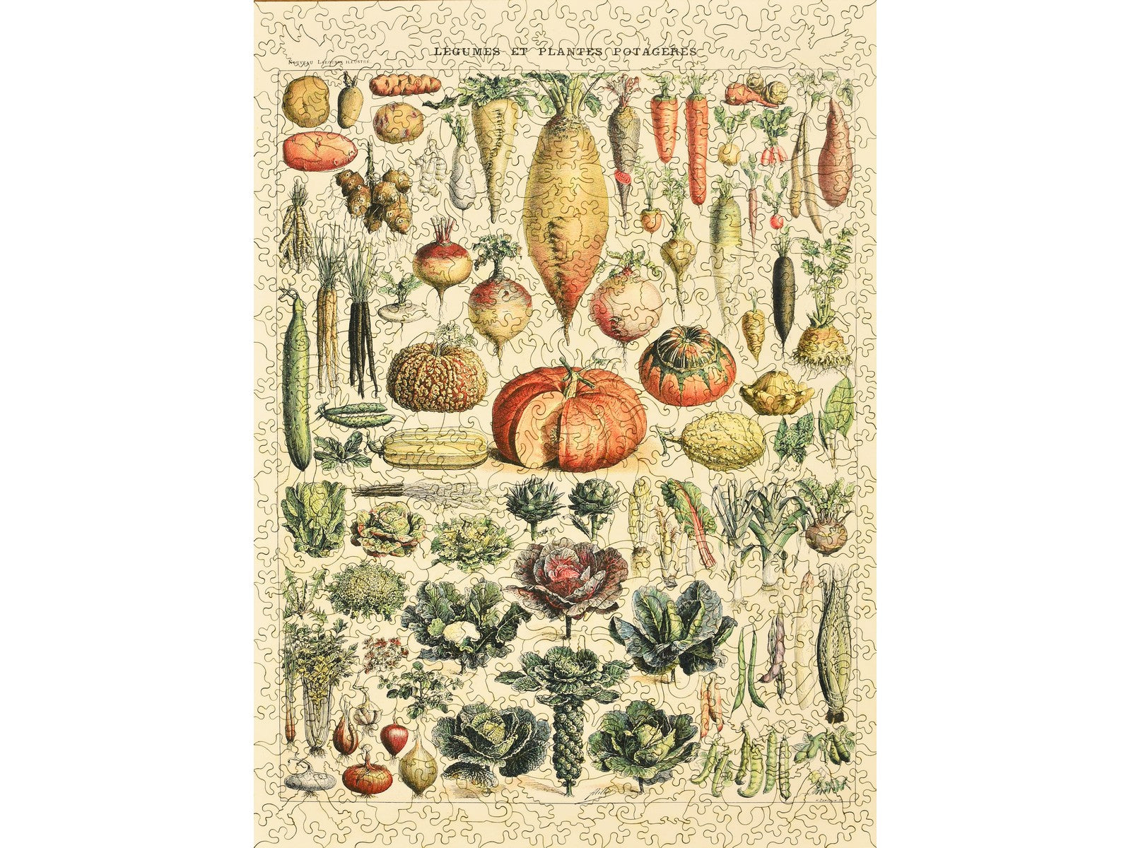 The front of the puzzle, Vegetables and Plants.
