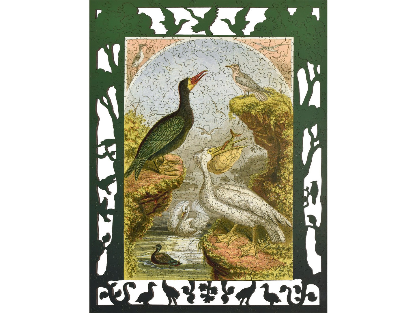 The front of the puzzle, Whimsical Birds.