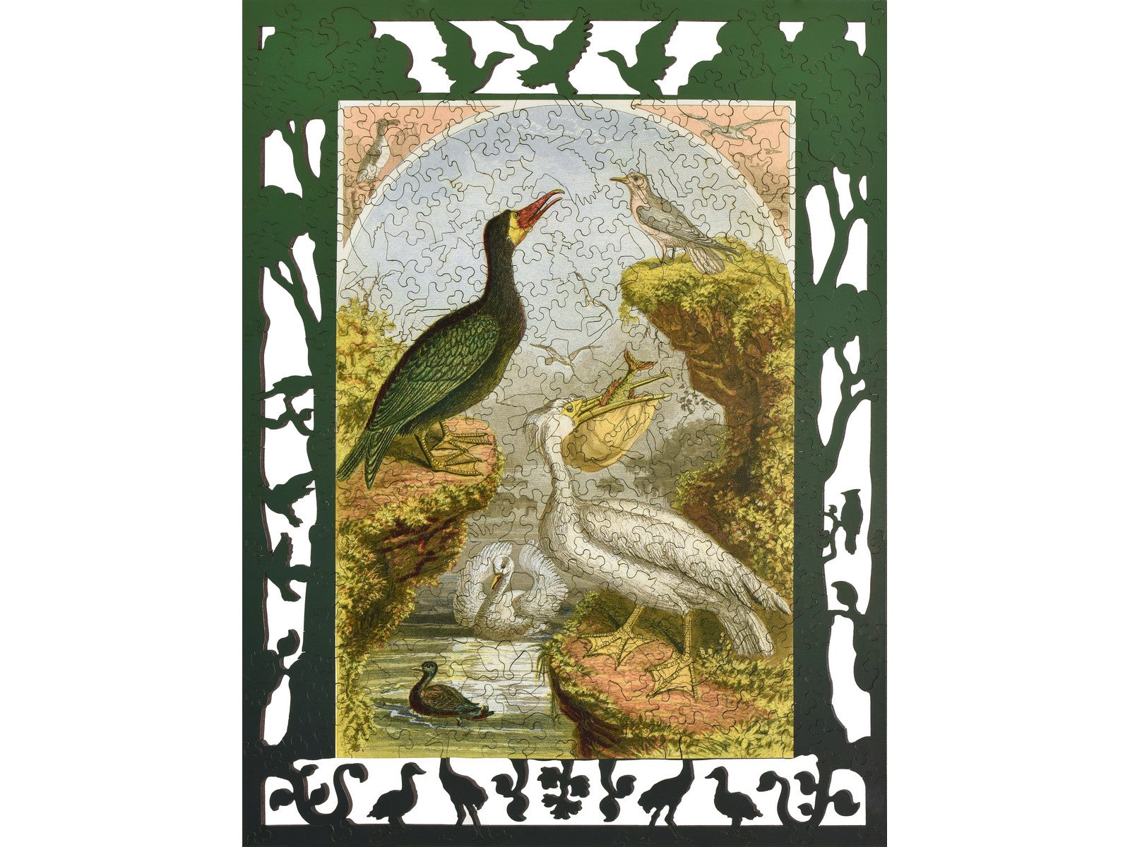 The front of the puzzle, Whimsical Birds.
