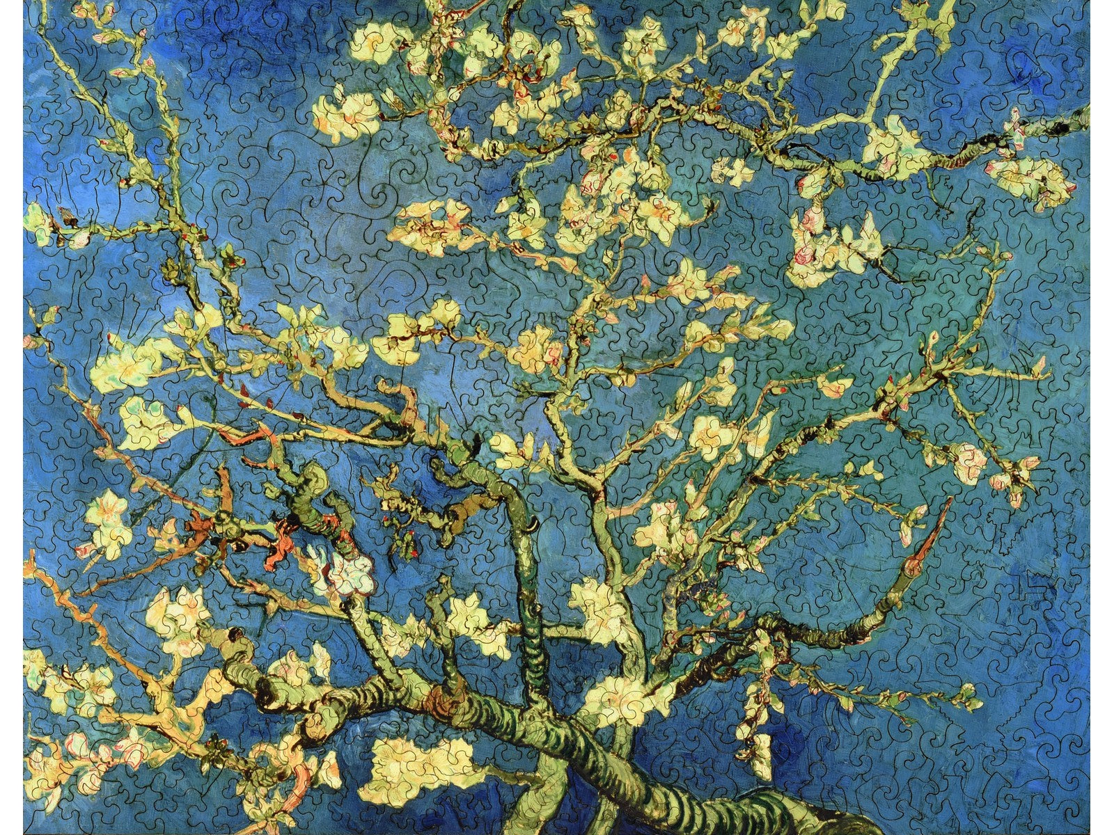 The front of the puzzle, Almond Blossom, which shows a blossoming branch on a blue background.
