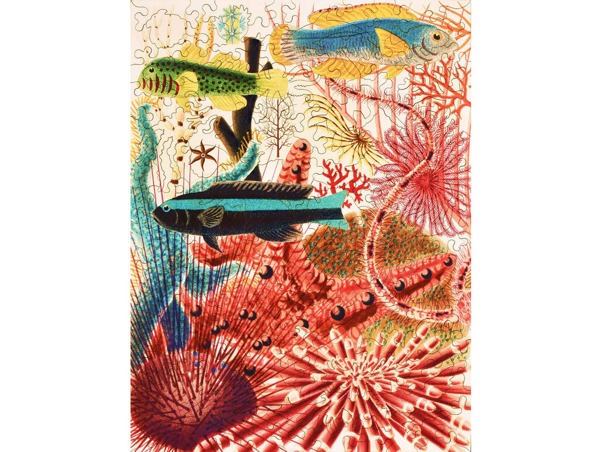 Liberty Puzzles William Saville-Kent Great Barrier Reef Echinoderms and Fish