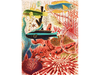 The front of the puzzle, Great Barrier Reef Echinoderms and Fish, which shows an underwater scene of various fish and sea creatures.