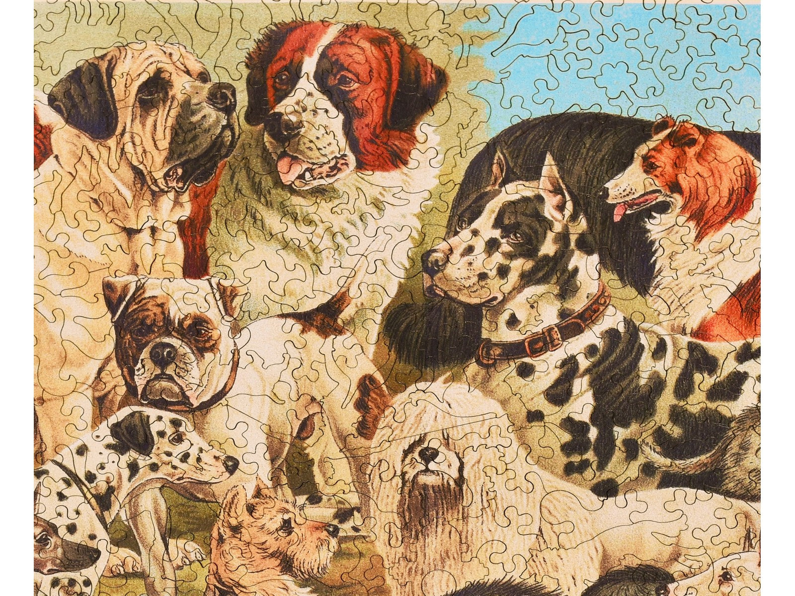 A closeup of the front of the puzzle, Best in Show, showing the detail in the pieces.