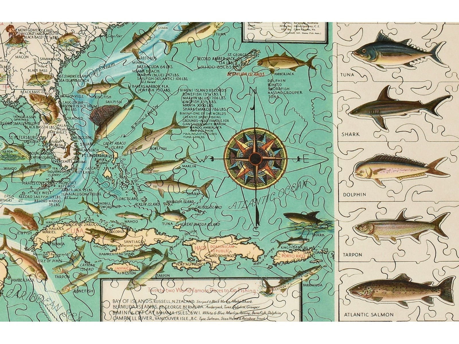 A closeup of the front of the puzzle, Big Game Fish Map, showing the detail in the pieces.