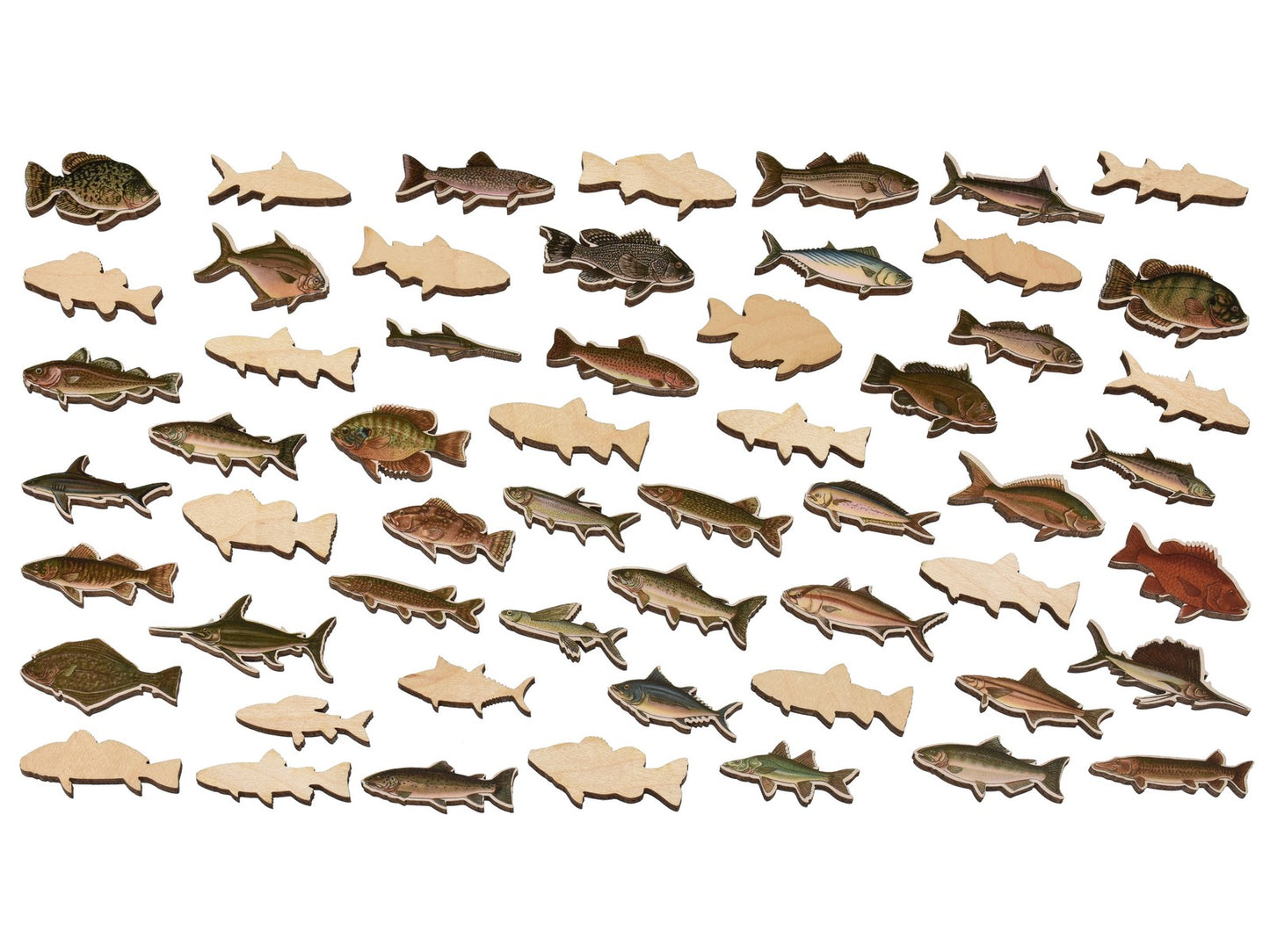 Fish whimsies that can be found in the puzzle, Big Game Fish Map.
