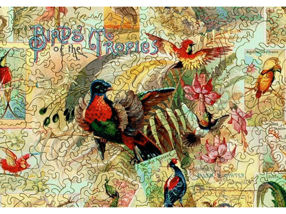 A closeup of the front of the puzzle, Birds of the Tropics.