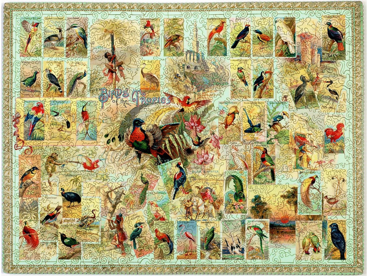 The front of the puzzle, Birds of the Tropics, which shows a collage of vintage tropical bird prints, with a scalloped border.