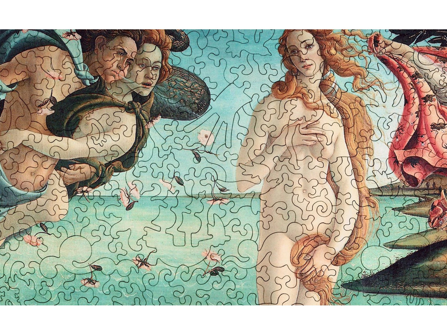 A closeup of the front of the puzzle, Birth of Venus, showing the detail in the pieces.