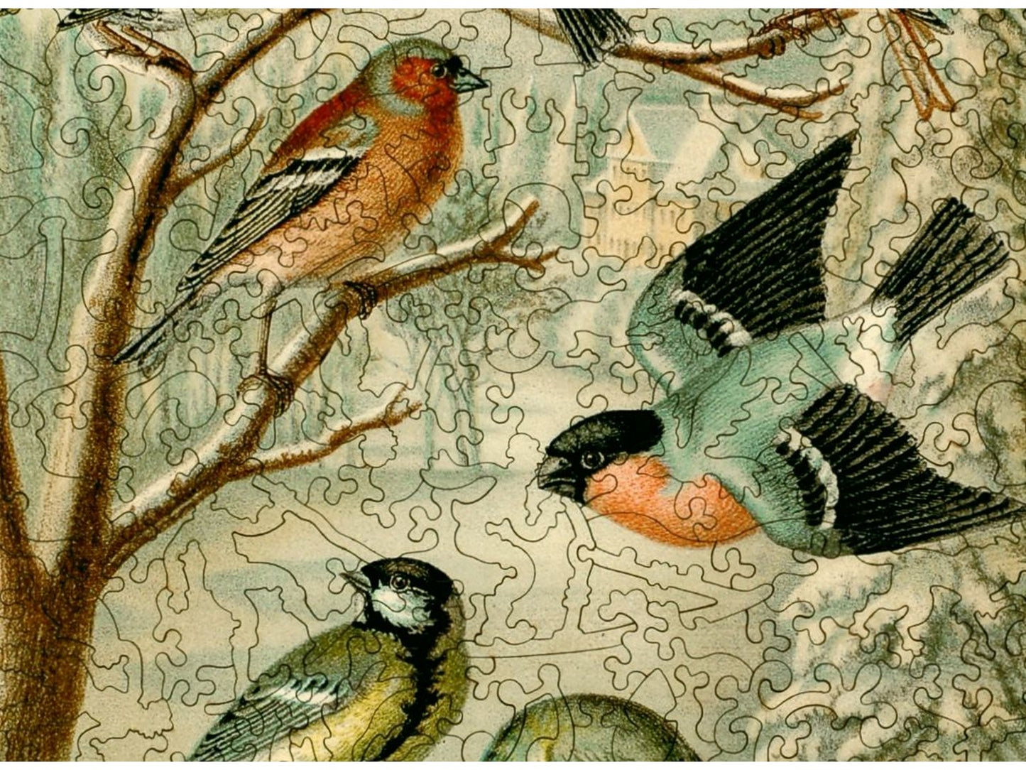A closeup of the front of the puzzle, Central European Songbirds.