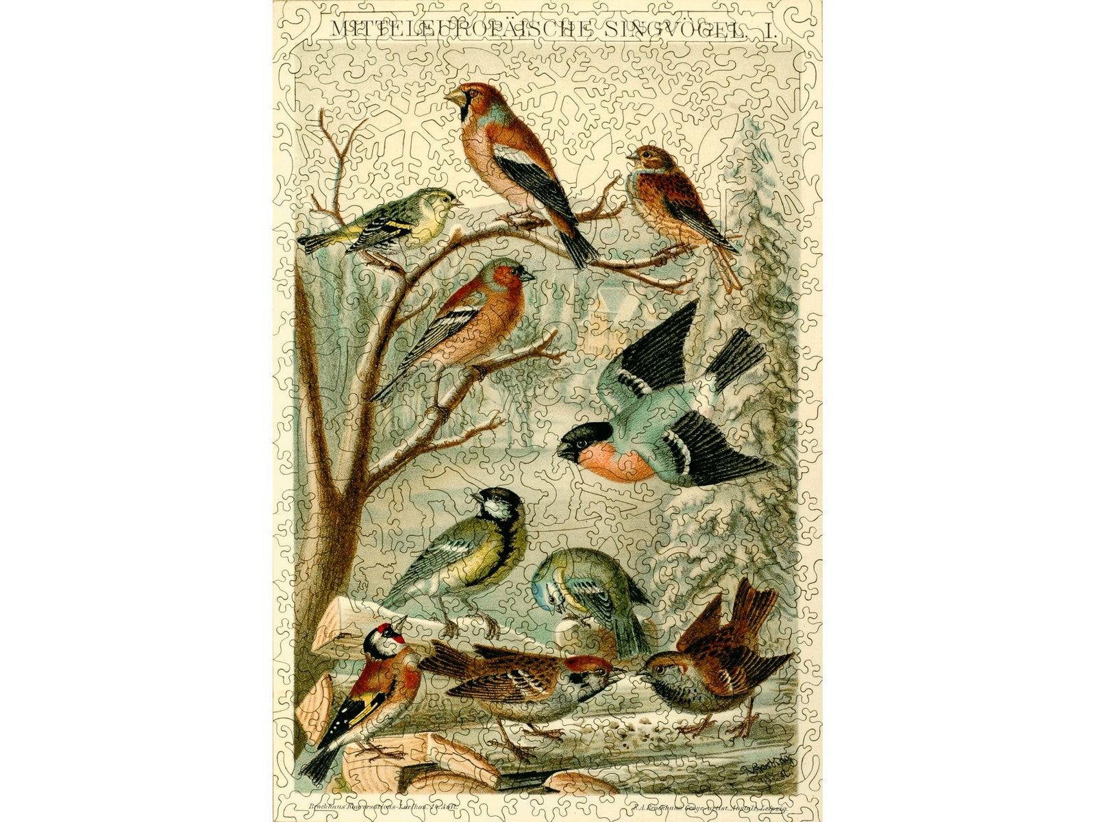 The front of the puzzle, Central European Songbirds, showing ten birds. 