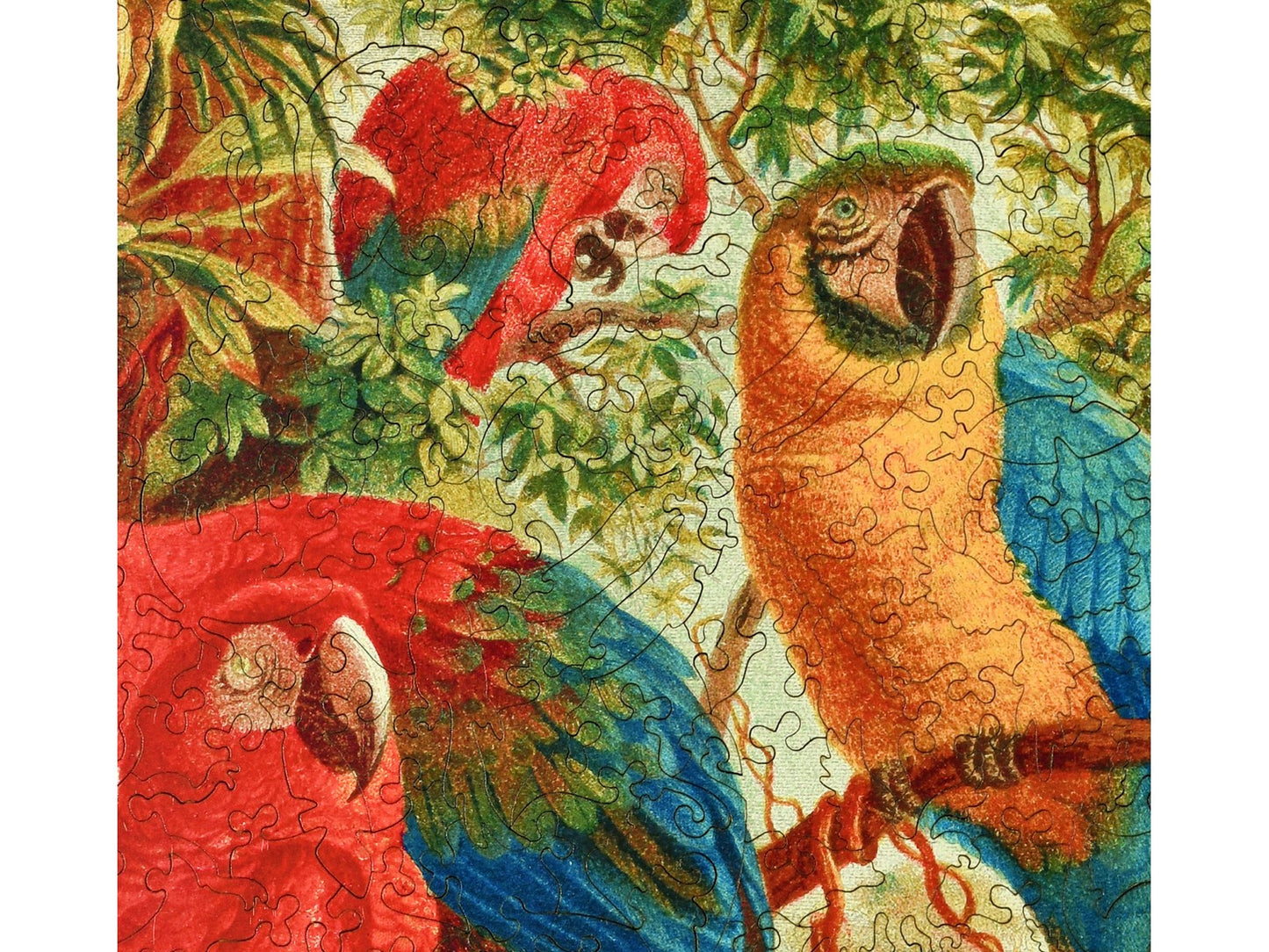 A closeup of the front of the puzzle, A Company of Macaws, showing the detail in the pieces.