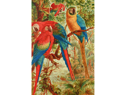 The front of the puzzle, A Company of Macaws, which shows four macaws in the jungle.