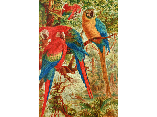 The front of the puzzle, A Company of Macaws, which shows four macaws in the jungle.