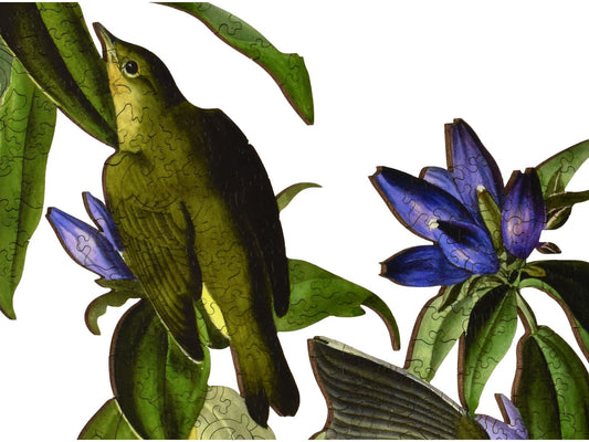 A closeup of the front of the puzzle, Connecticut Warbler.
