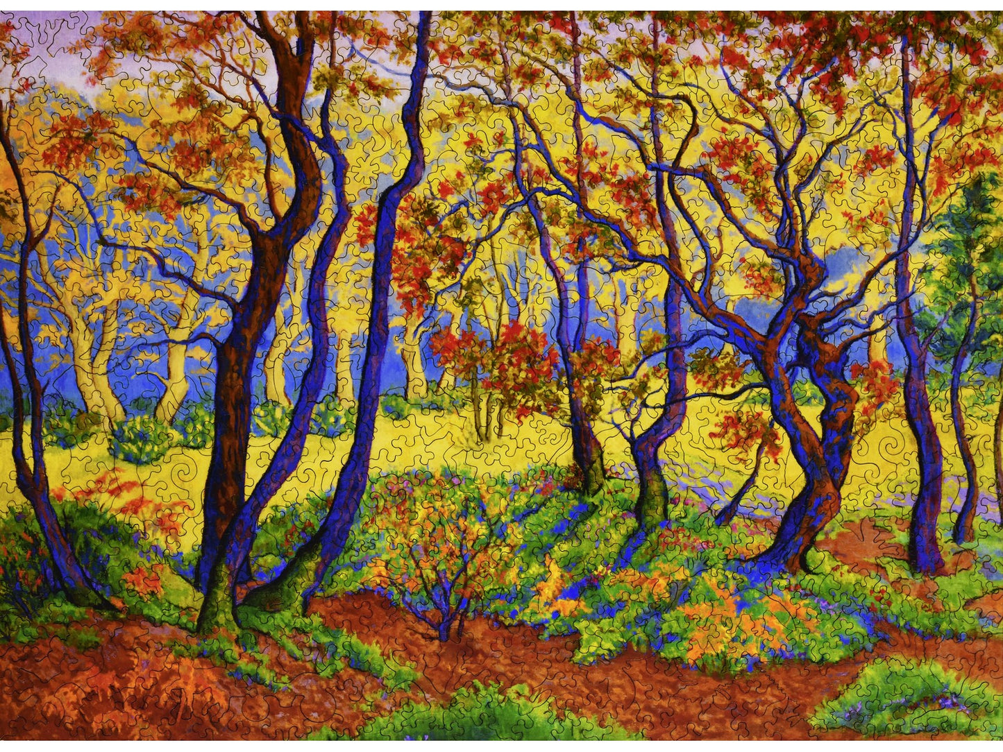 The front of the puzzle, Edge of the Forest, which shows a colorful forest scene.