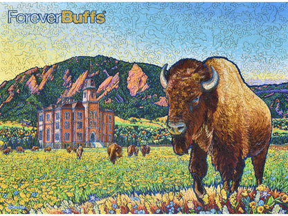 The front of the puzzle, Forever Buffs, which shows bison in a field with a university building in the background.