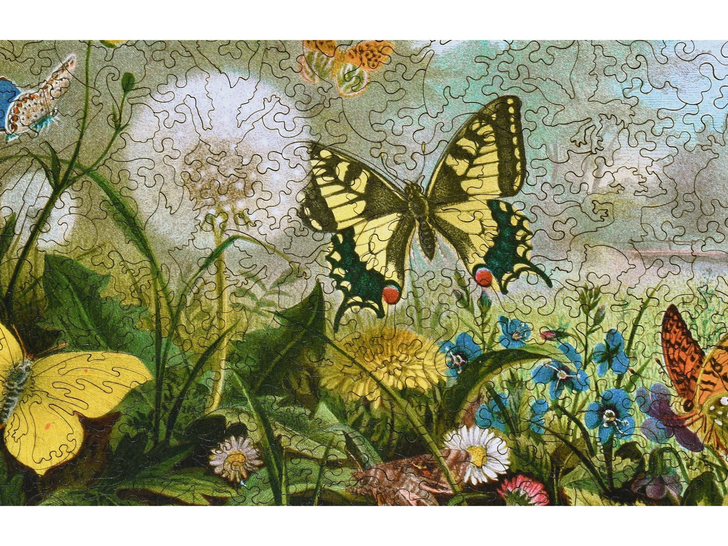 A closeup of the front of the puzzle, German Butterflies, showing the detail in the pieces.