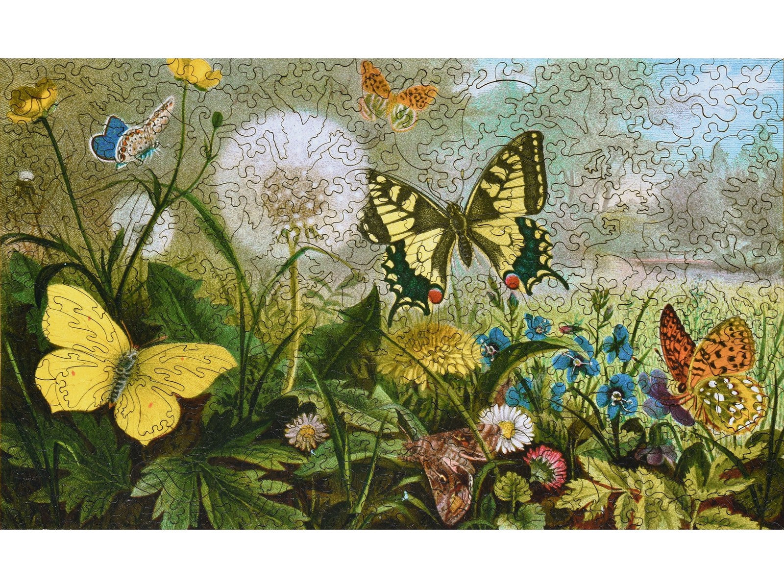 The front of the puzzle, German Butterflies, which shows different kinds of butterflies next to some flowers.