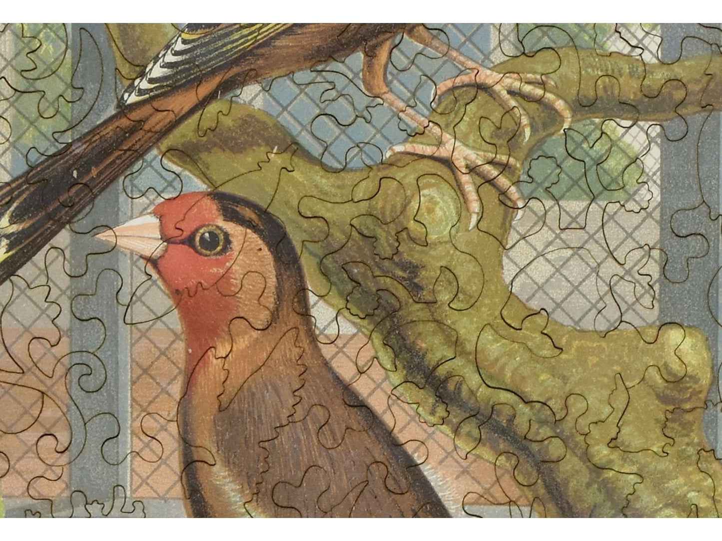 A closeup of the front of the puzzle, Goldfinch and Canary Mule.