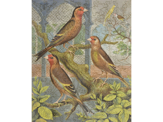 The front of the puzzle, Goldfinch and Canary Mule, which shows three birds on a branch.