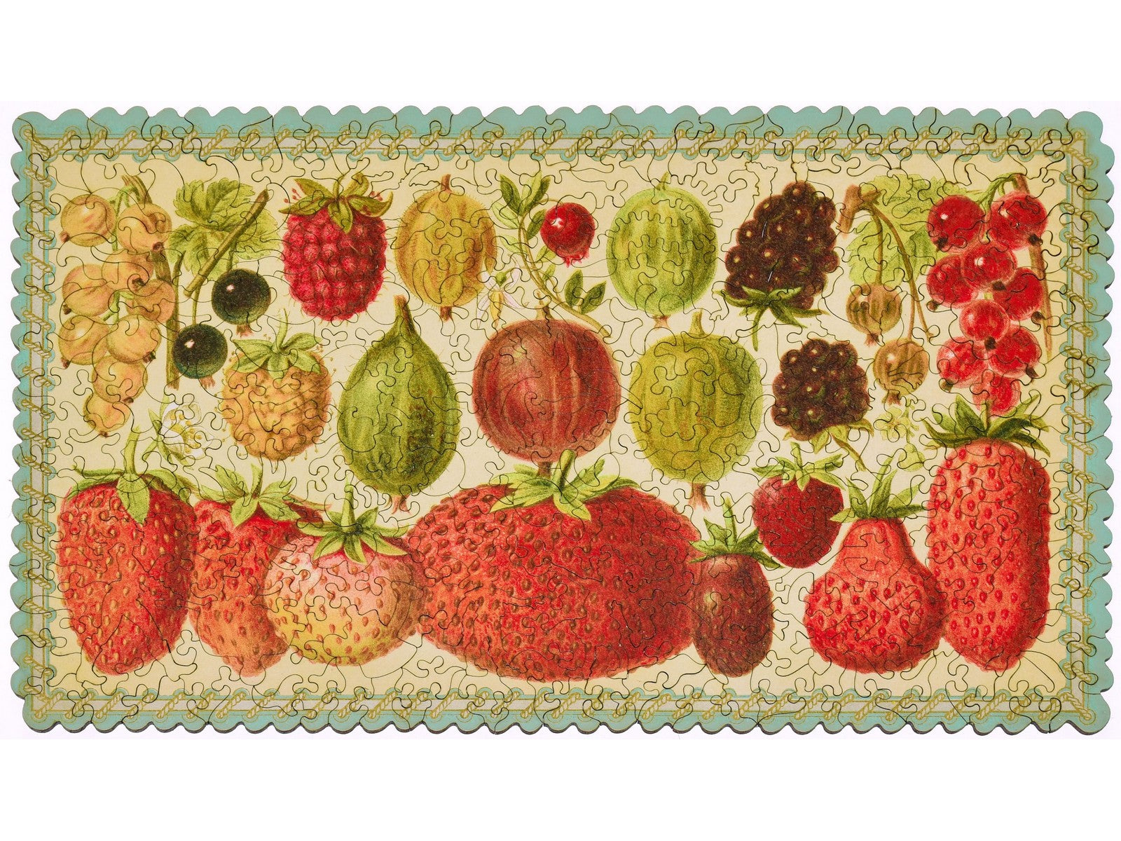 The front of the puzzle, Heirloom Berry Assortment, which shows a botanical print of different kinds of berries.