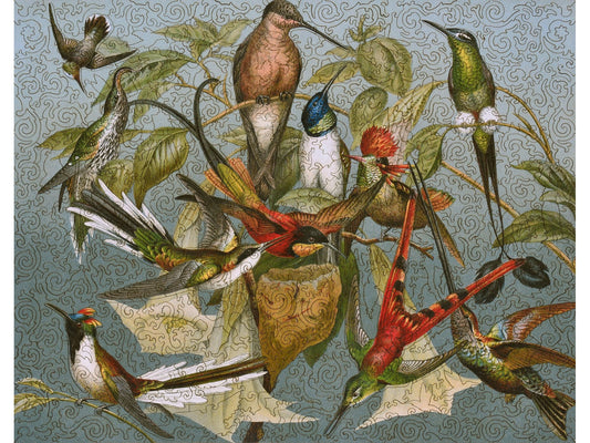 The front of the puzzle, Kolibris, with many hummingbirds flying around a nest in a plant.