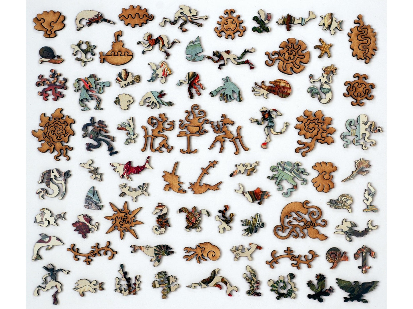 The whimsy pieces that can be found in the puzzle, Varieties of Molluscs.