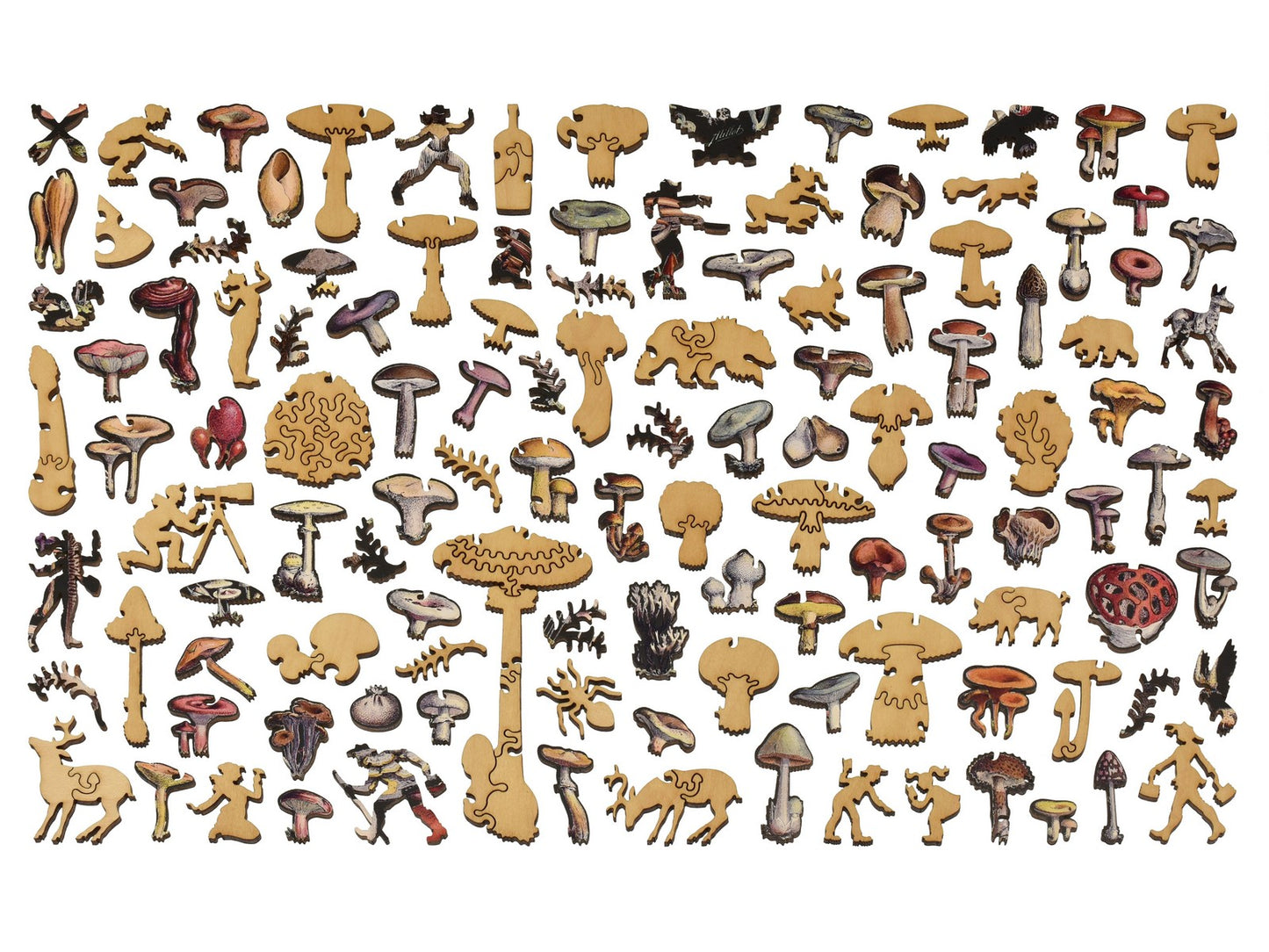The whimsy pieces that can be found in the puzzle, Mushrooms.