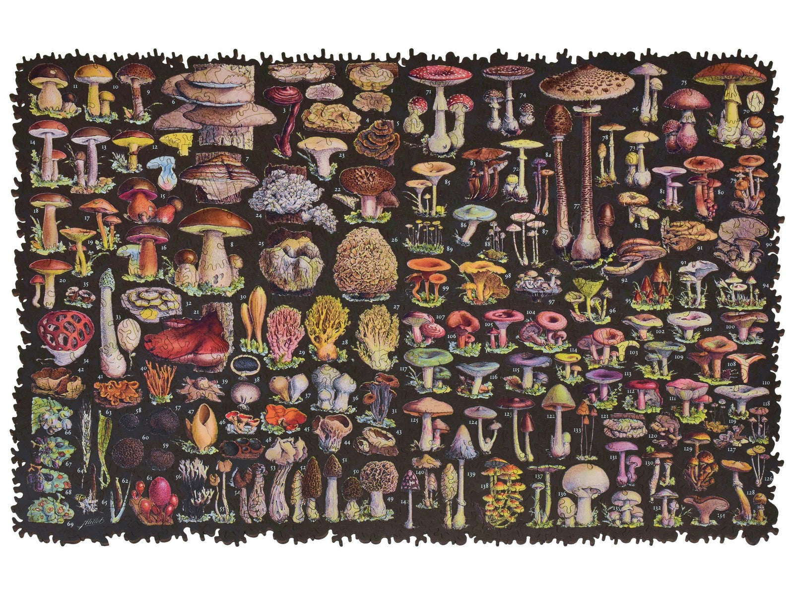 Mushrooms Wooden Jigsaw Puzzle Liberty Puzzles Mushrooms wooden jigsaw puzzle liberty puzzles