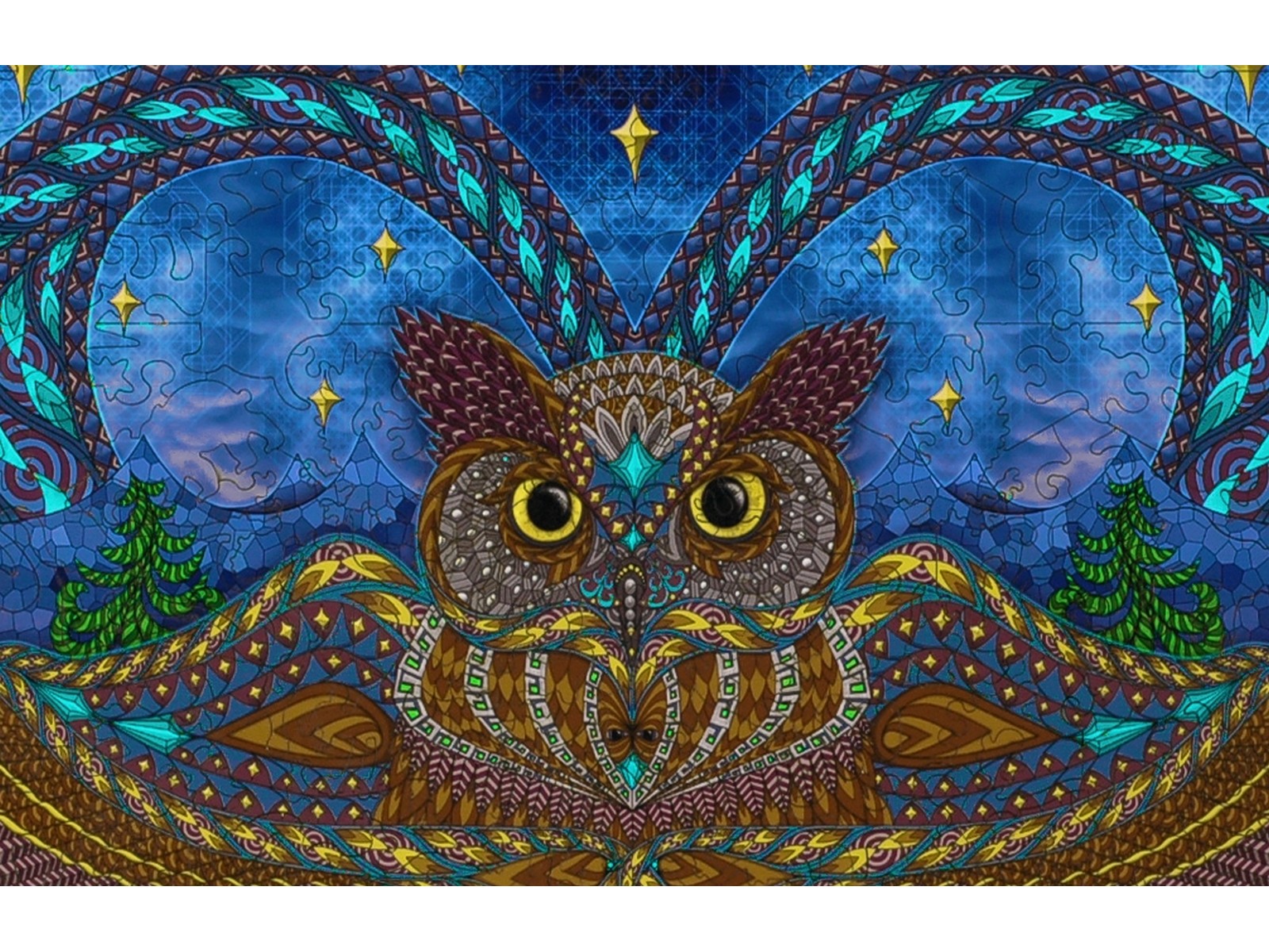 A closeup of the front of the puzzle, Owl Eyes.