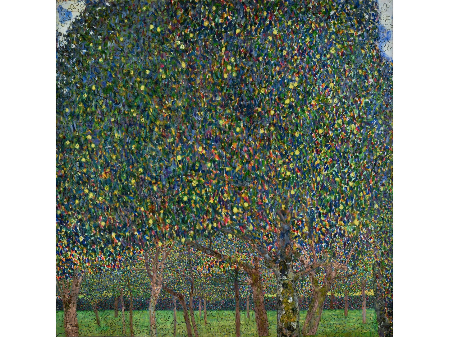 The front of the puzzle, Pear Tree, which shows a fruit tree orchard.