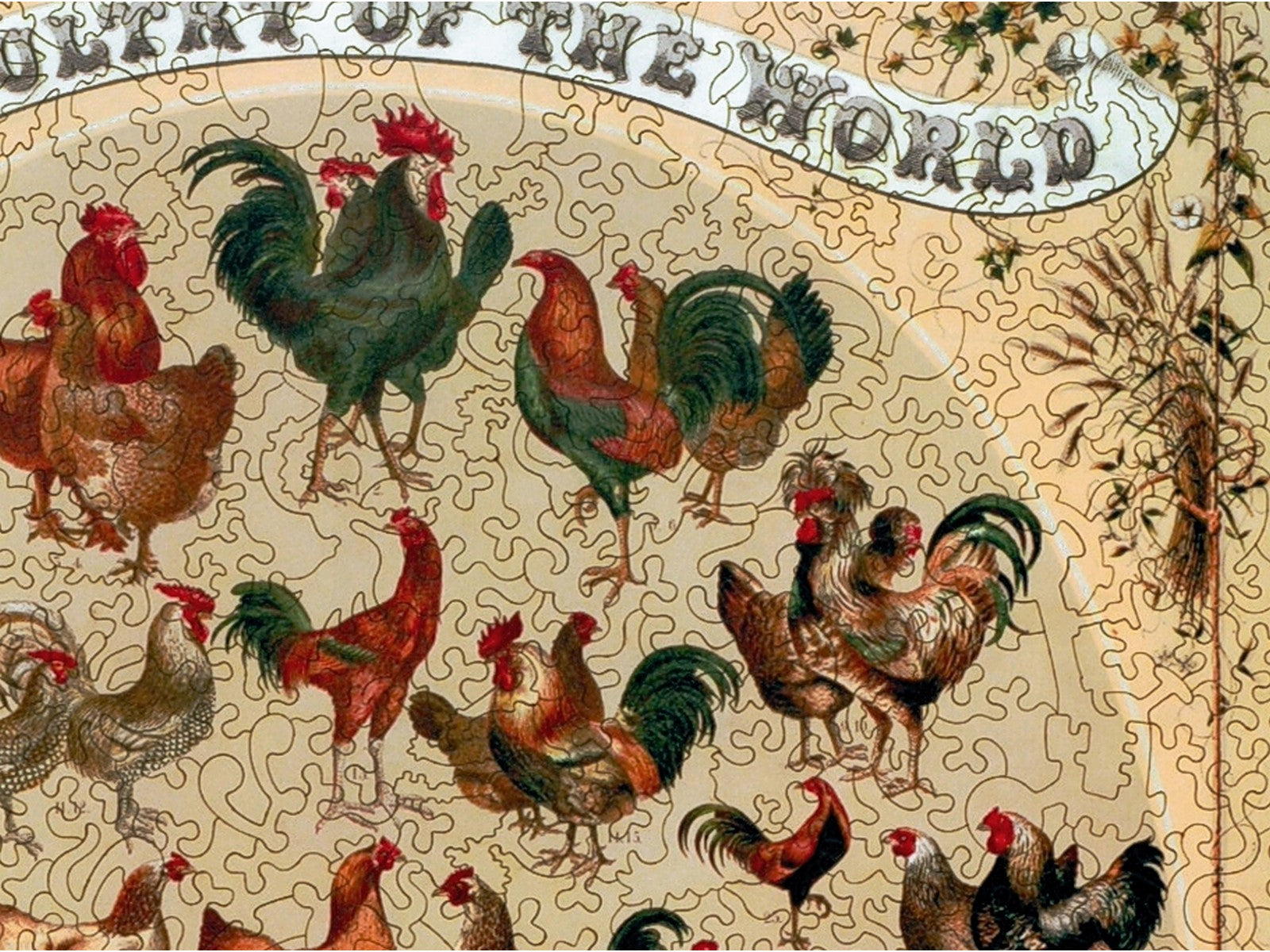 A closeup of the front of the puzzle, Poultry of the World.