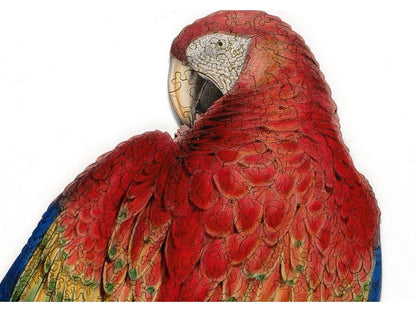 A closeup of the front of the puzzle, Red and Yellow Macaw, showing the detail in the pieces.